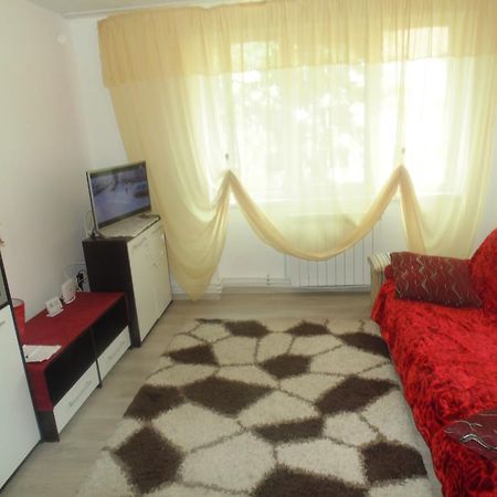 Lary Apartament Szucsáva Kültér fotó